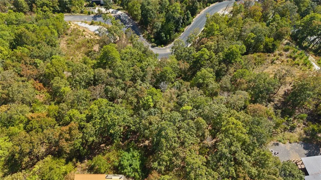 Photo 10 — 389 Virginia Pine Place, Broken Bow, OK 74728