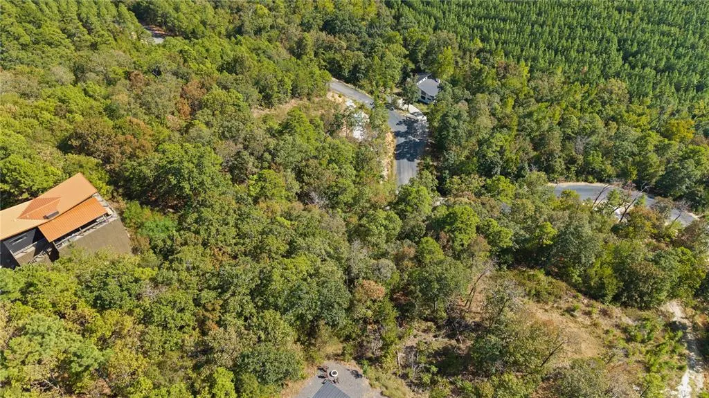 Photo 11 — 389 Virginia Pine Place, Broken Bow, OK 74728