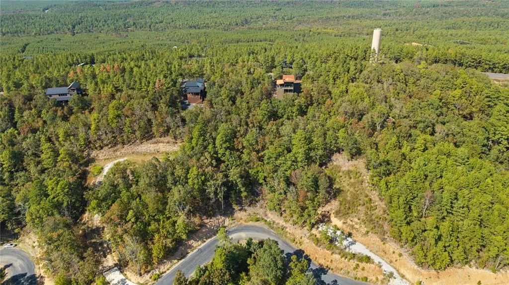 Photo 14 — 389 Virginia Pine Place, Broken Bow, OK 74728