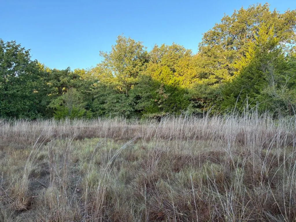 Photo 33 — 5148 N Enville Road, Marietta, OK 73448