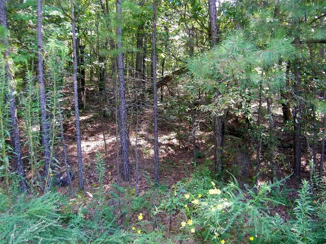 Photo 3 — Hee Creek, Smithville, OK 74957