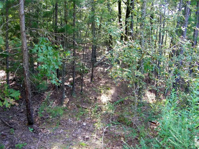 Photo 5 — Hee Creek, Smithville, OK 74957