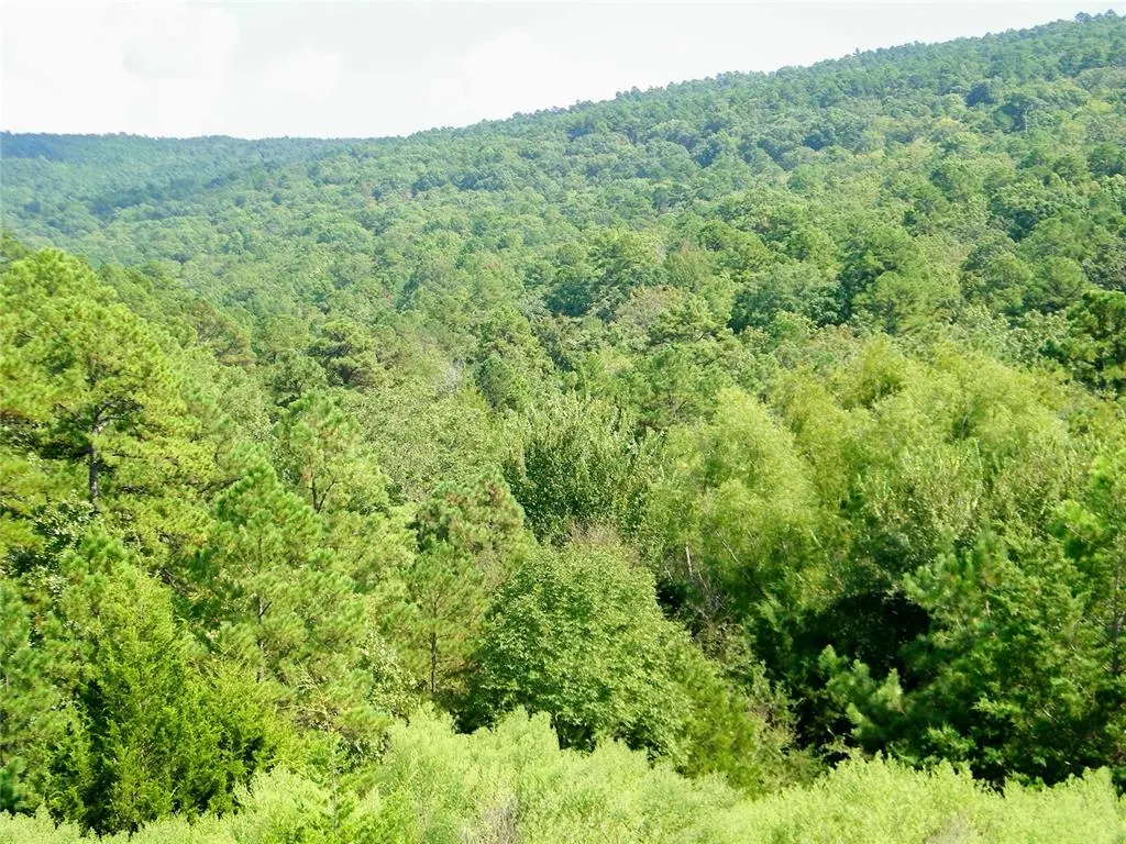 Photo 8 — Hee Creek, Smithville, OK 74957