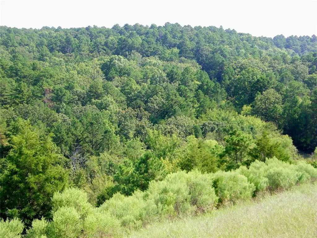 Photo 9 — Hee Creek, Smithville, OK 74957