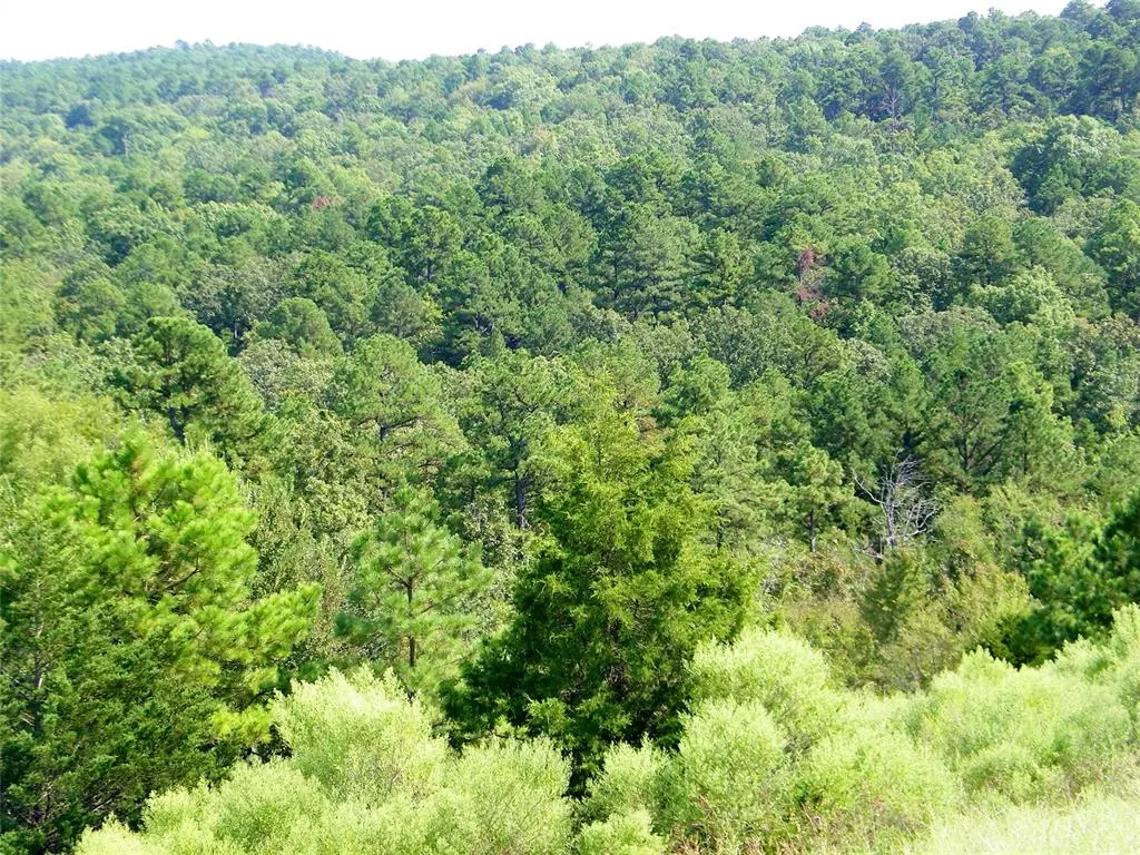 Photo 10 — Hee Creek, Smithville, OK 74957