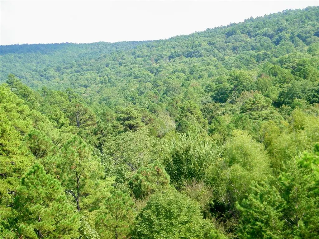 Photo 11 — Hee Creek, Smithville, OK 74957