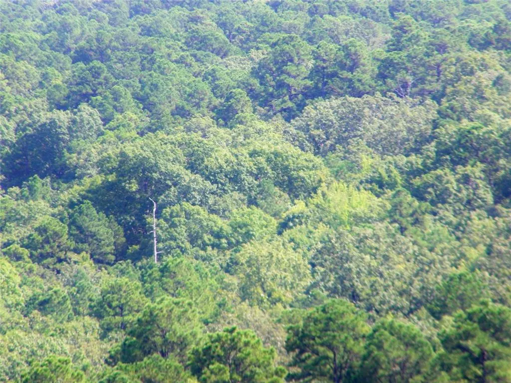 Photo 12 — Hee Creek, Smithville, OK 74957