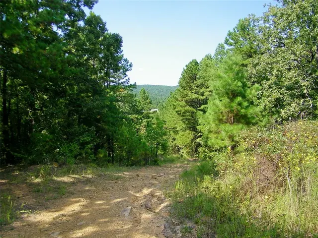 Photo 2 — 901 Sycamore Bend Loop, Broken Bow, OK 74728