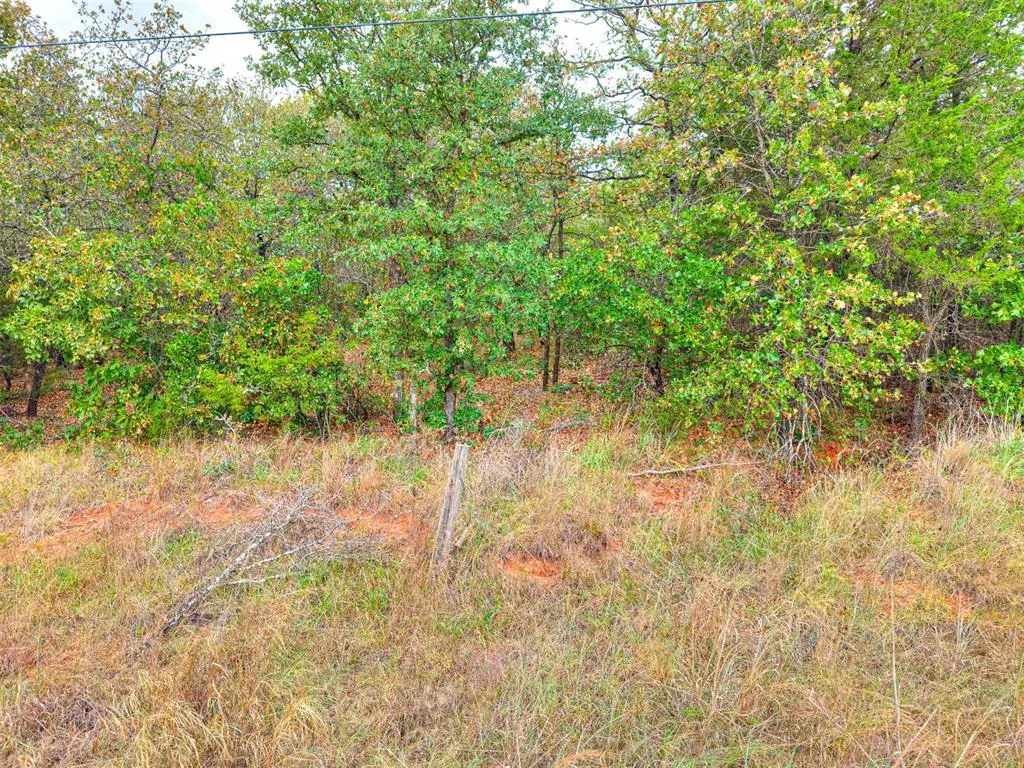 Photo 6 — 8750 Bounbonais Creek Road, Lexington, OK 73051