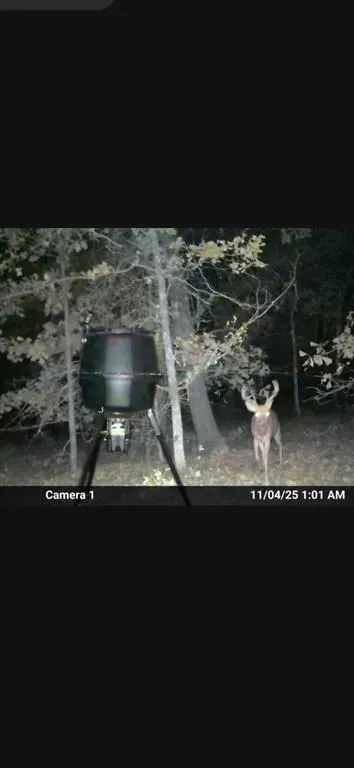 Photo 9 — 8750 Bounbonais Creek Road, Lexington, OK 73051