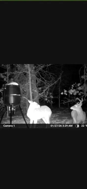 Photo 10 — 8750 Bounbonais Creek Road, Lexington, OK 73051