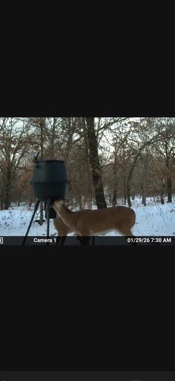 Photo 11 — 8750 Bounbonais Creek Road, Lexington, OK 73051
