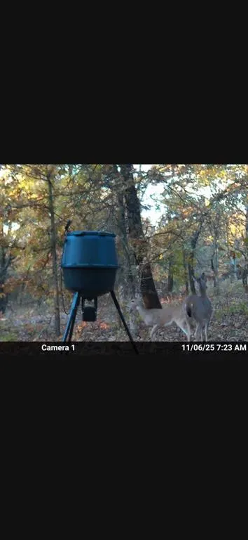 Photo 13 — 8750 Bounbonais Creek Road, Lexington, OK 73051