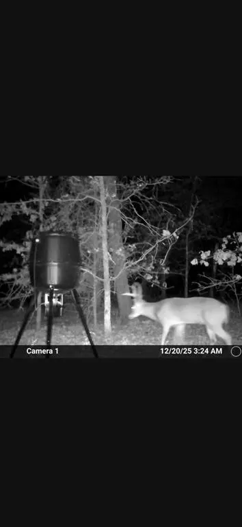 Photo 14 — 8750 Bounbonais Creek Road, Lexington, OK 73051