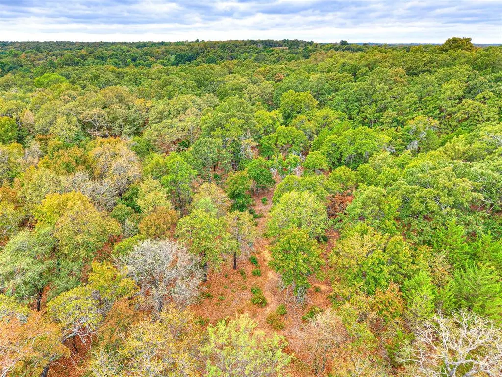 Photo 15 — 8750 Bounbonais Creek Road, Lexington, OK 73051