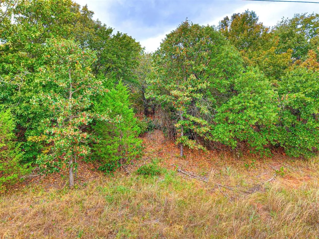 Photo 17 — 8750 Bounbonais Creek Road, Lexington, OK 73051