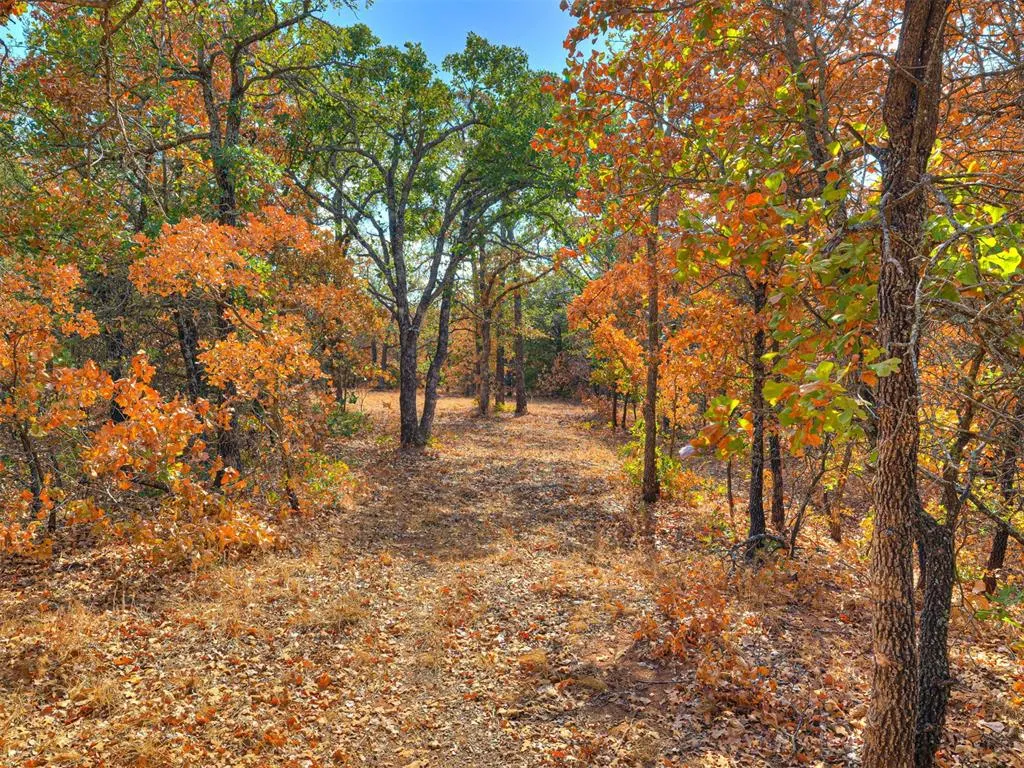 Photo 10 — 10422 236th Street, Blanchard, OK 73010