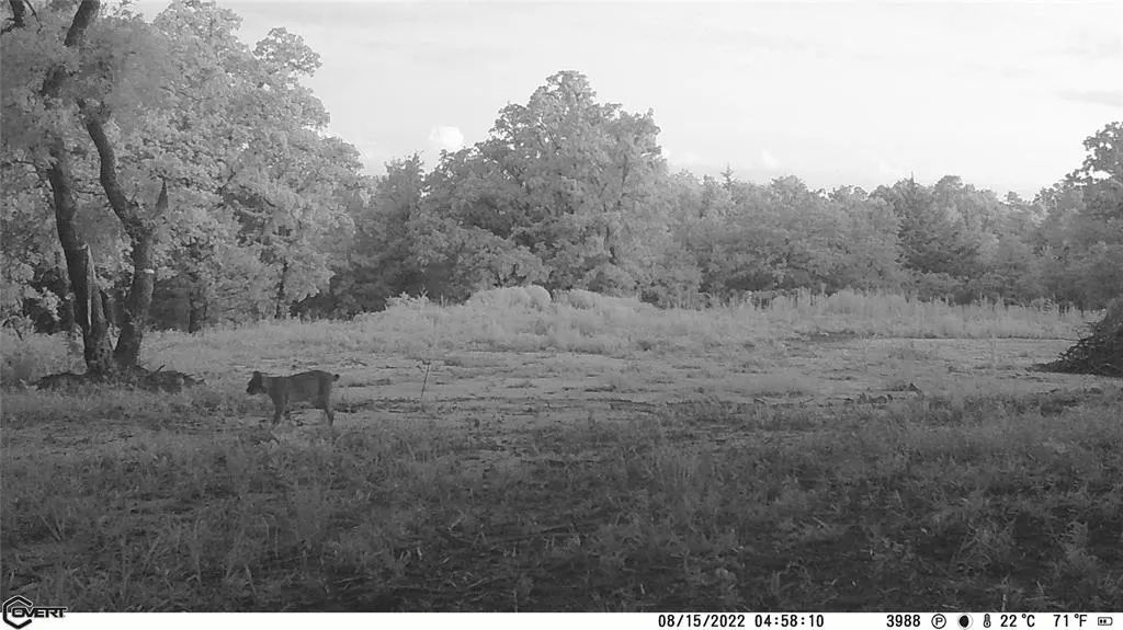 Photo 40 — 10422 236th Street, Blanchard, OK 73010