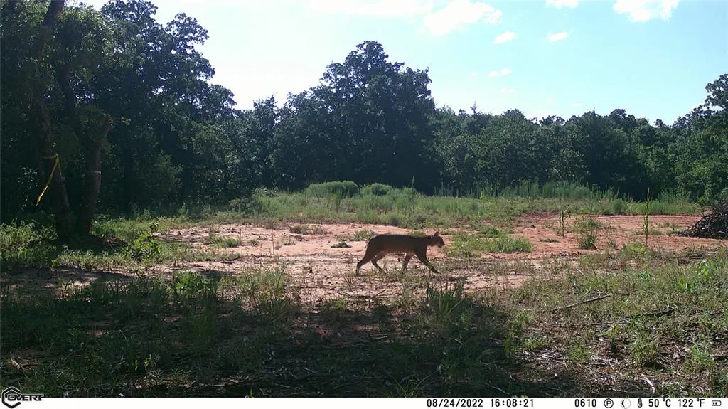 Photo 41 — 10422 236th Street, Blanchard, OK 73010