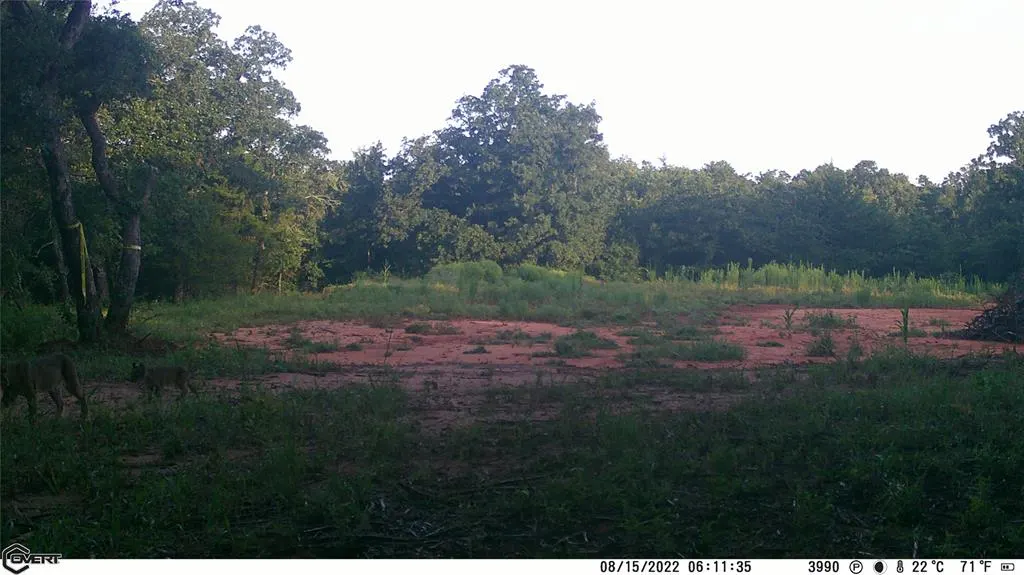 Photo 42 — 10422 236th Street, Blanchard, OK 73010