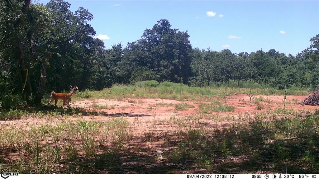 Photo 43 — 10422 236th Street, Blanchard, OK 73010