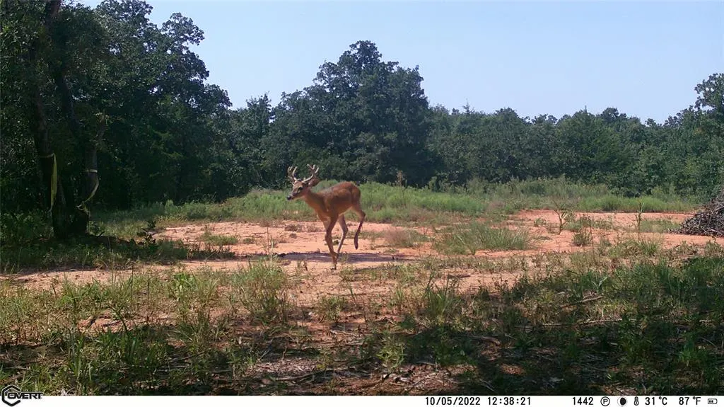 Photo 44 — 10422 236th Street, Blanchard, OK 73010