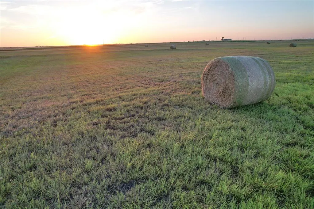Photo 35 — 160 Acres - E 1150 & N 1860 Roads, Sayre, OK 73662