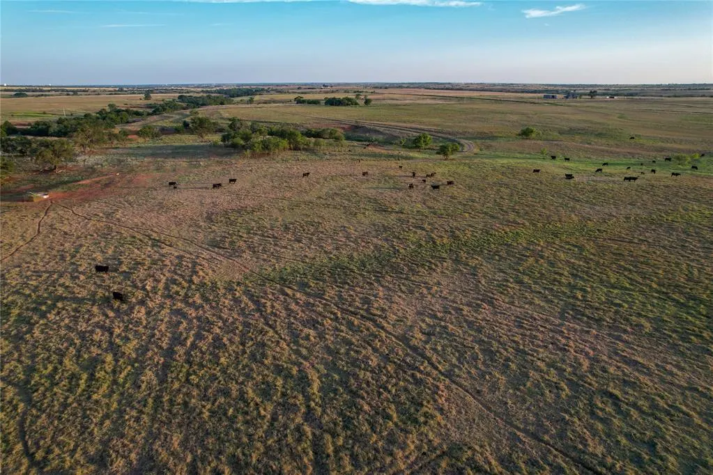 Photo 15 — 160 Acres - E 1150 & N 1860 Roads, Sayre, OK 73662