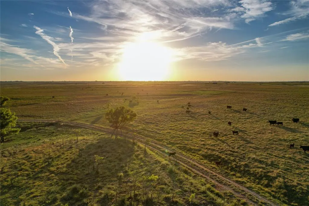 Photo 18 — 160 Acres - E 1150 & N 1860 Roads, Sayre, OK 73662