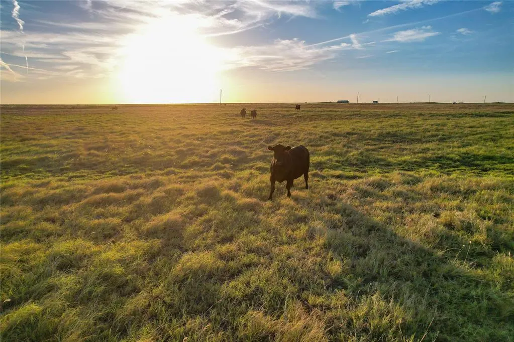 Photo 21 — 160 Acres - E 1150 & N 1860 Roads, Sayre, OK 73662