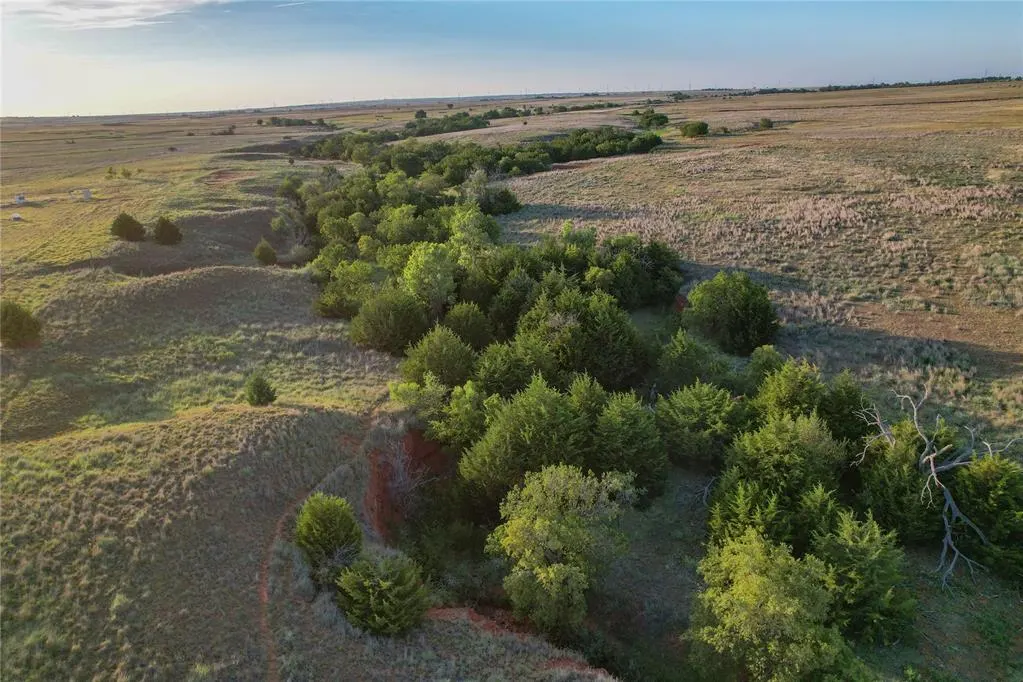 Photo 14 — 160 Acres - E 1140 & N 1860 Roads, Sayre, OK 73662