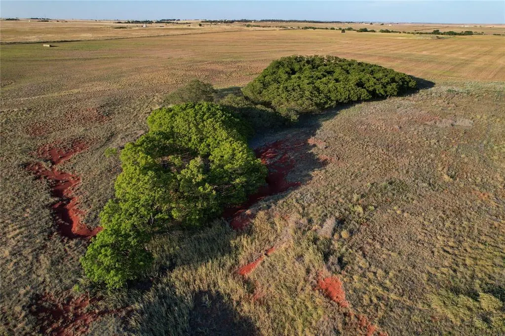 Photo 13 — 160 Acres - E 1140 & N 1860 Roads, Sayre, OK 73662