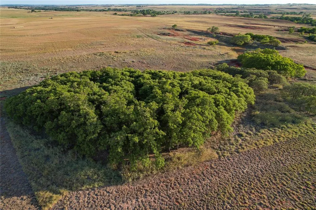Photo 15 — 160 Acres - E 1140 & N 1860 Roads, Sayre, OK 73662