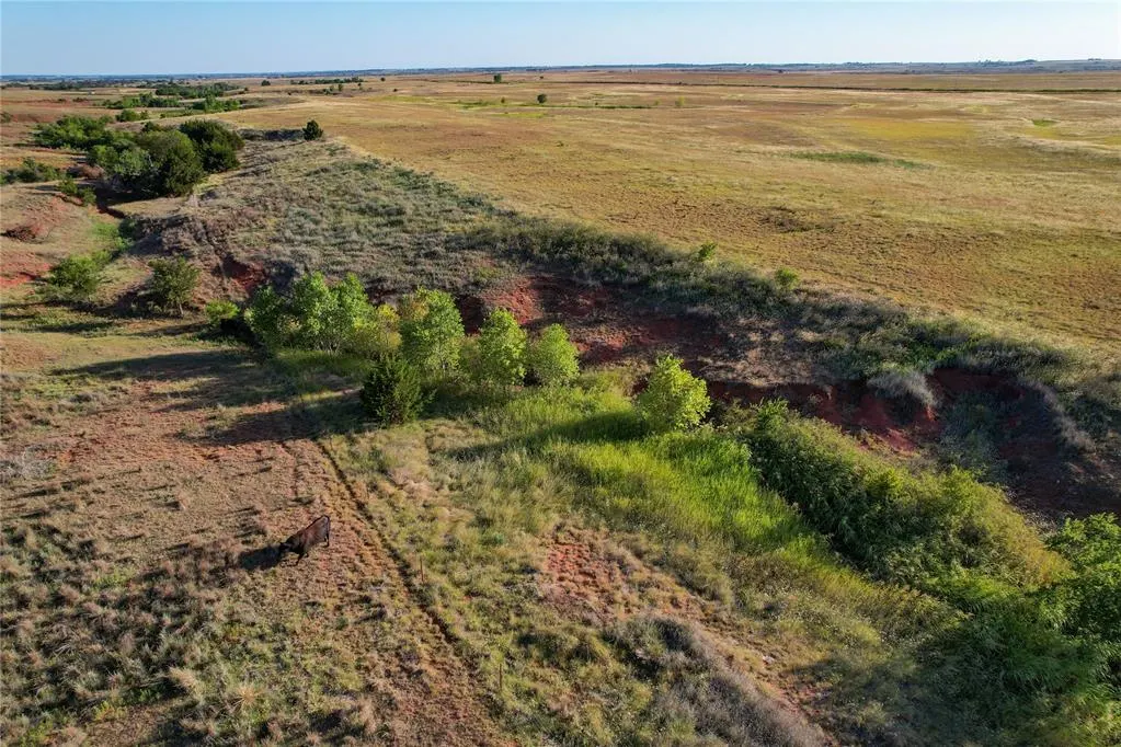 Photo 12 — 160 Acres - E 1140 & N 1860 Roads, Sayre, OK 73662