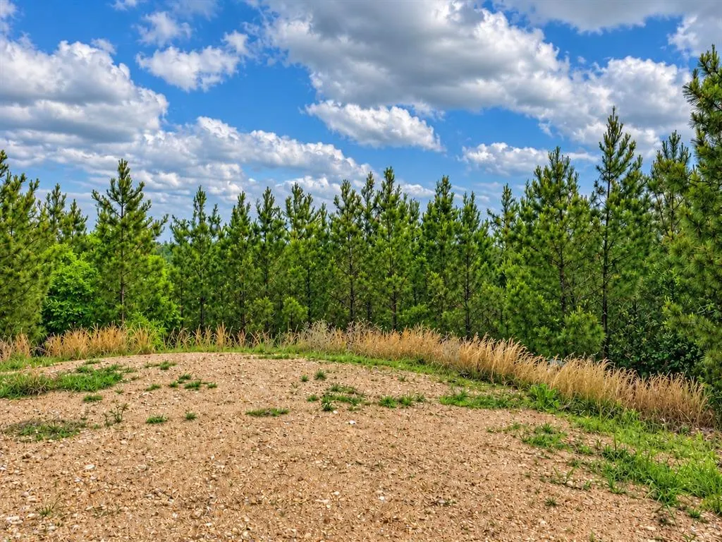 Photo 4 — 158 Legacy Ridge Trail, Broken Bow, OK 74728