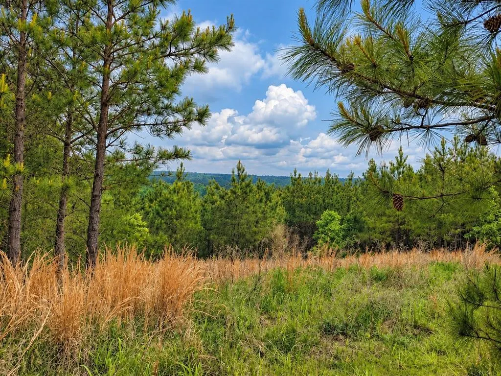 Photo 5 — 158 Legacy Ridge Trail, Broken Bow, OK 74728
