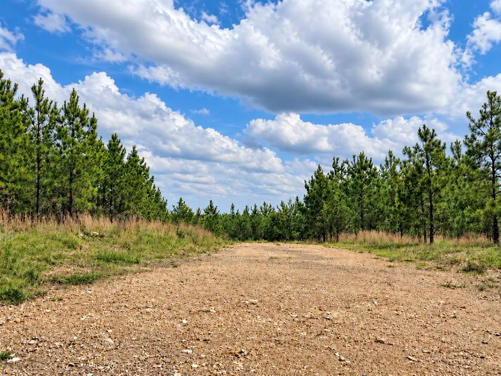 Photo 6 — 158 Legacy Ridge Trail, Broken Bow, OK 74728