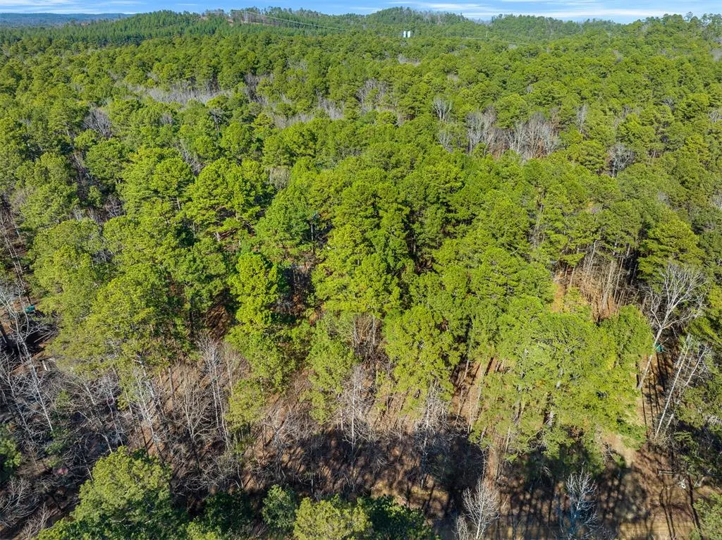 Photo 2 — Lamprey Road, Broken Bow, OK 74728