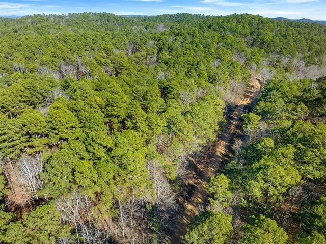 Photo 3 — Lamprey Road, Broken Bow, OK 74728