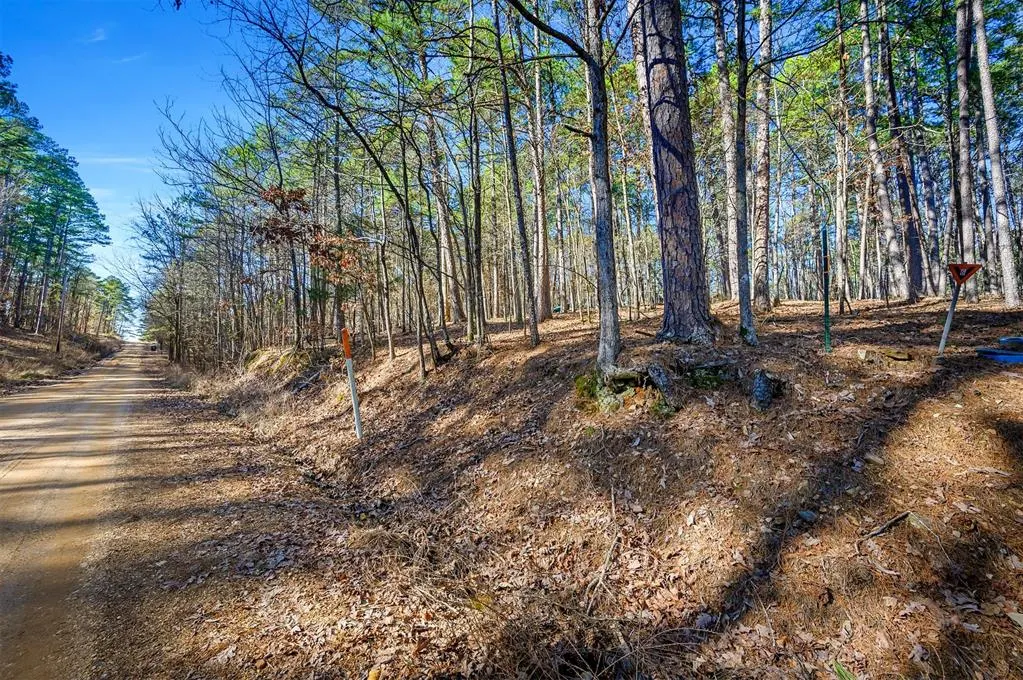 Photo 5 — Lamprey Road, Broken Bow, OK 74728