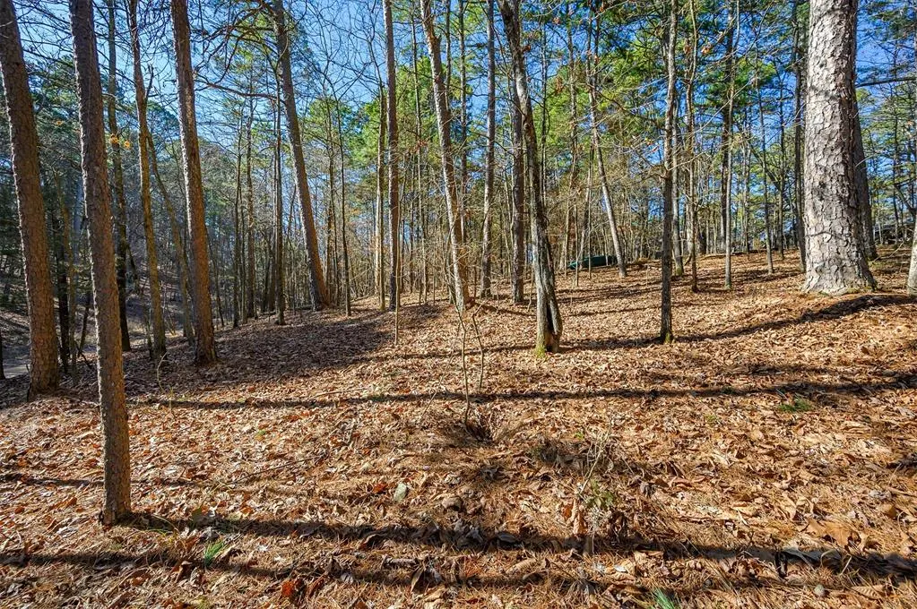 Photo 6 — Lamprey Road, Broken Bow, OK 74728