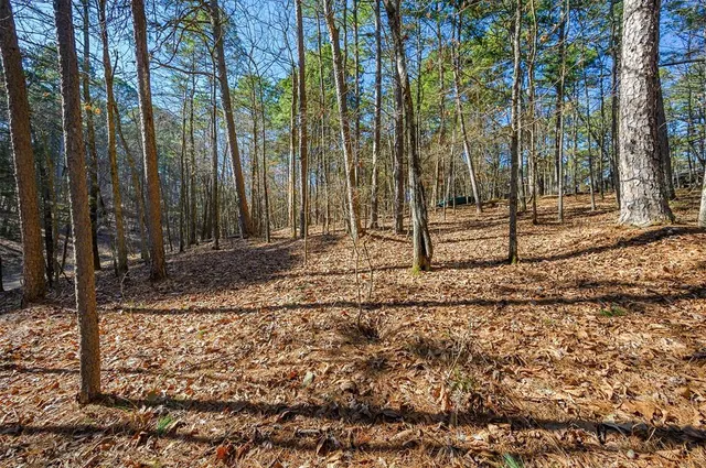 Photo 6 — Lamprey Road, Broken Bow, OK 74728