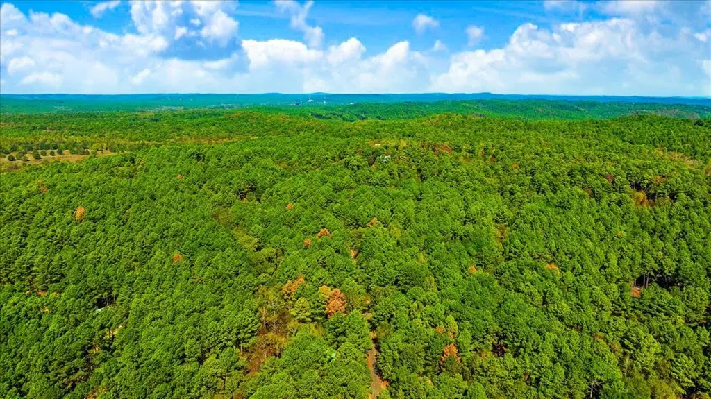 Photo 47 — 244 Hiddenwater Road, Broken Bow, OK 74728