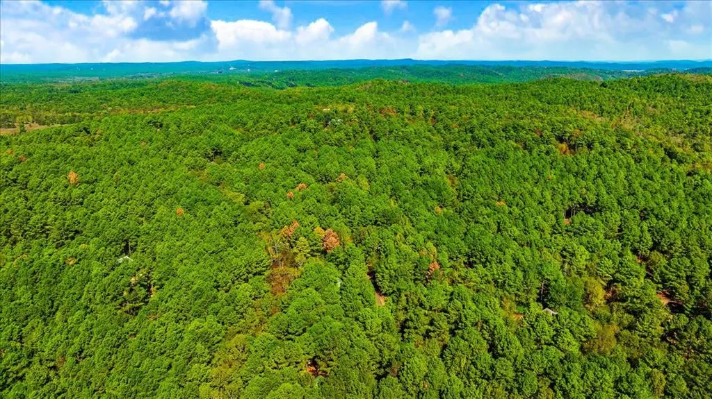 Photo 49 — 244 Hiddenwater Road, Broken Bow, OK 74728