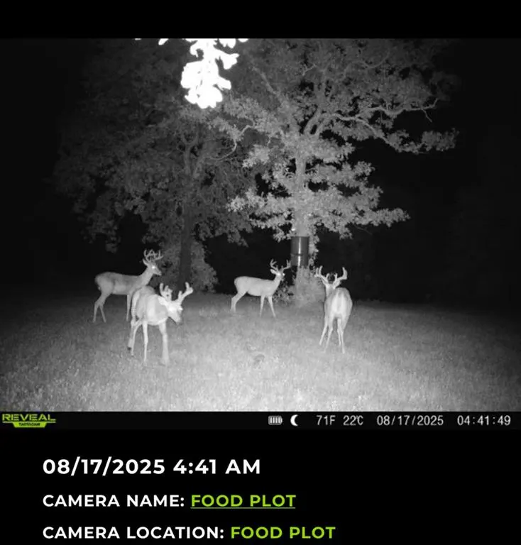 Photo 47 — 36354 EW 1140 Road, Seminole, OK 74868