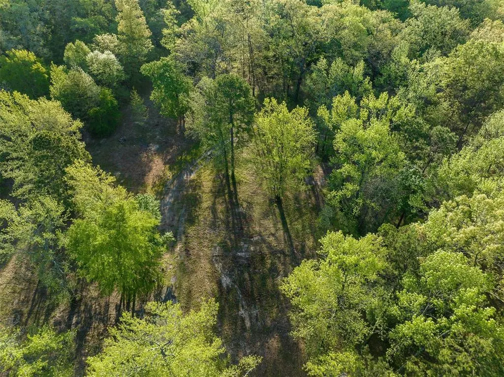 Photo 22 — 21534 N Us Highway 259, Broken Bow, OK 74728
