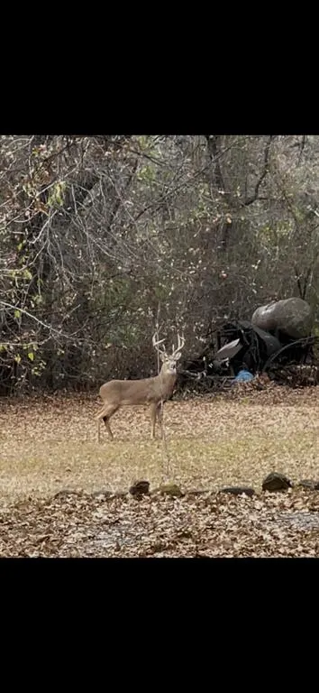 Photo 39 — 6025 N 5th Street, Duncan, OK 73533