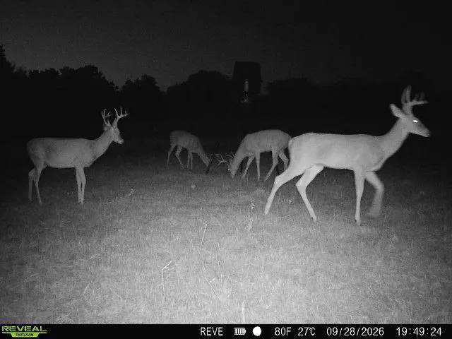 Photo 47 — 13203 NS 3600 Road, Wewoka, OK 74884