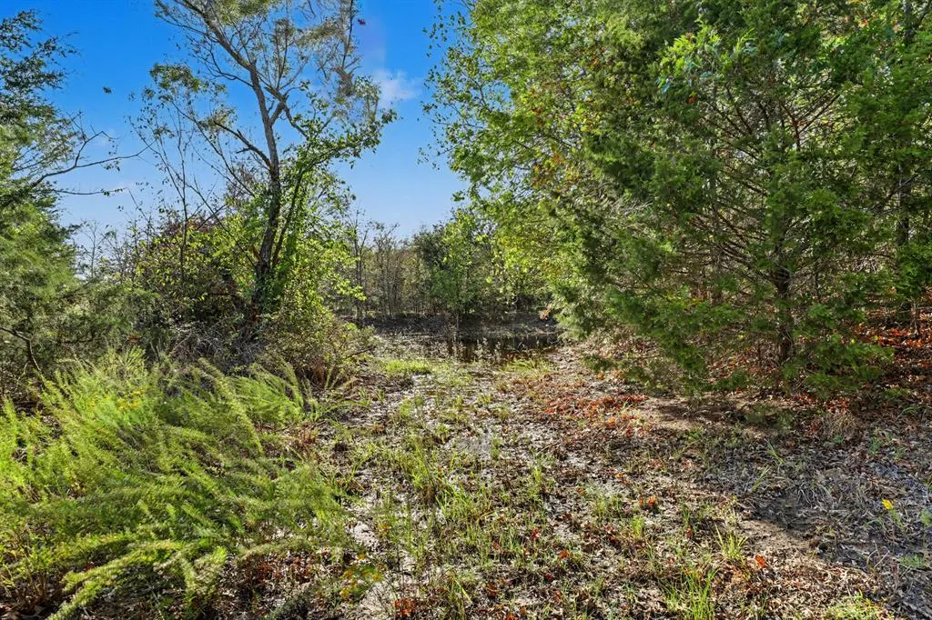Photo 45 — 13203 NS 3600 Road, Wewoka, OK 74884
