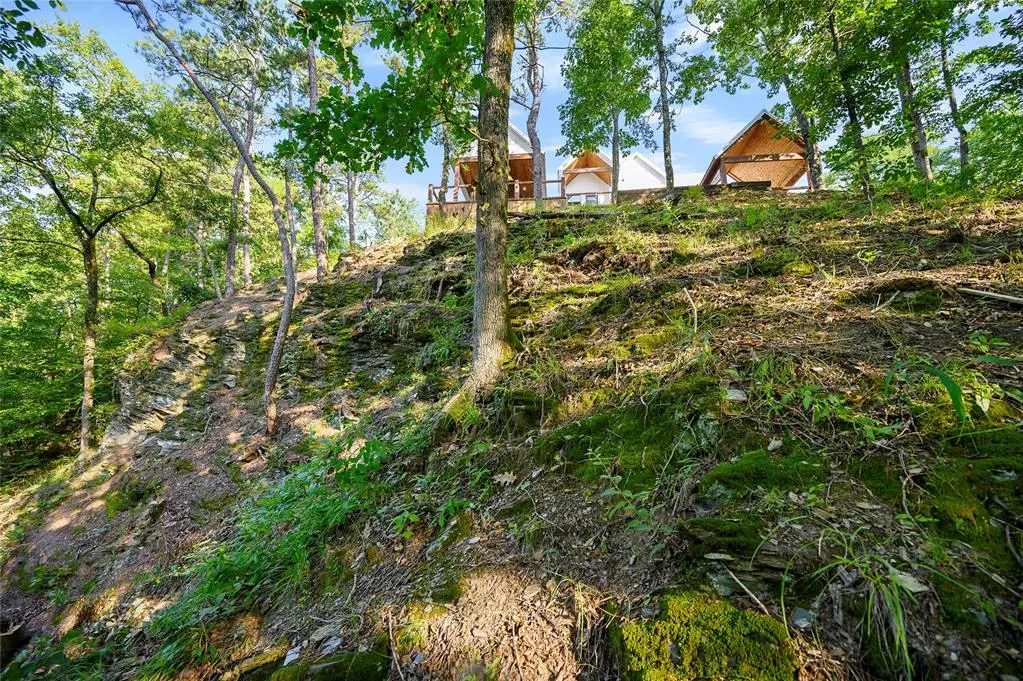 Photo 46 — 1408 N Lukfata Trail, Broken Bow, OK 74728